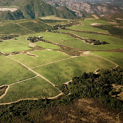 our premier vineyards